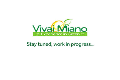 Pianta di Arancio (vaso - 35)