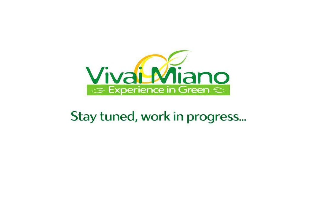 Pianta di Limone (Cespuglio - vaso 35)